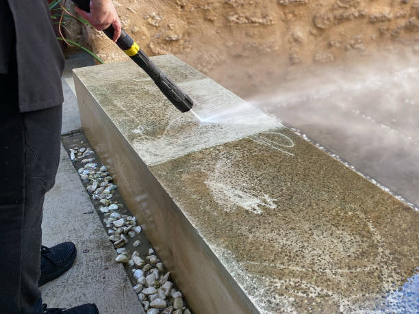 Best Roof Power Washing Services  in Charleston, SC